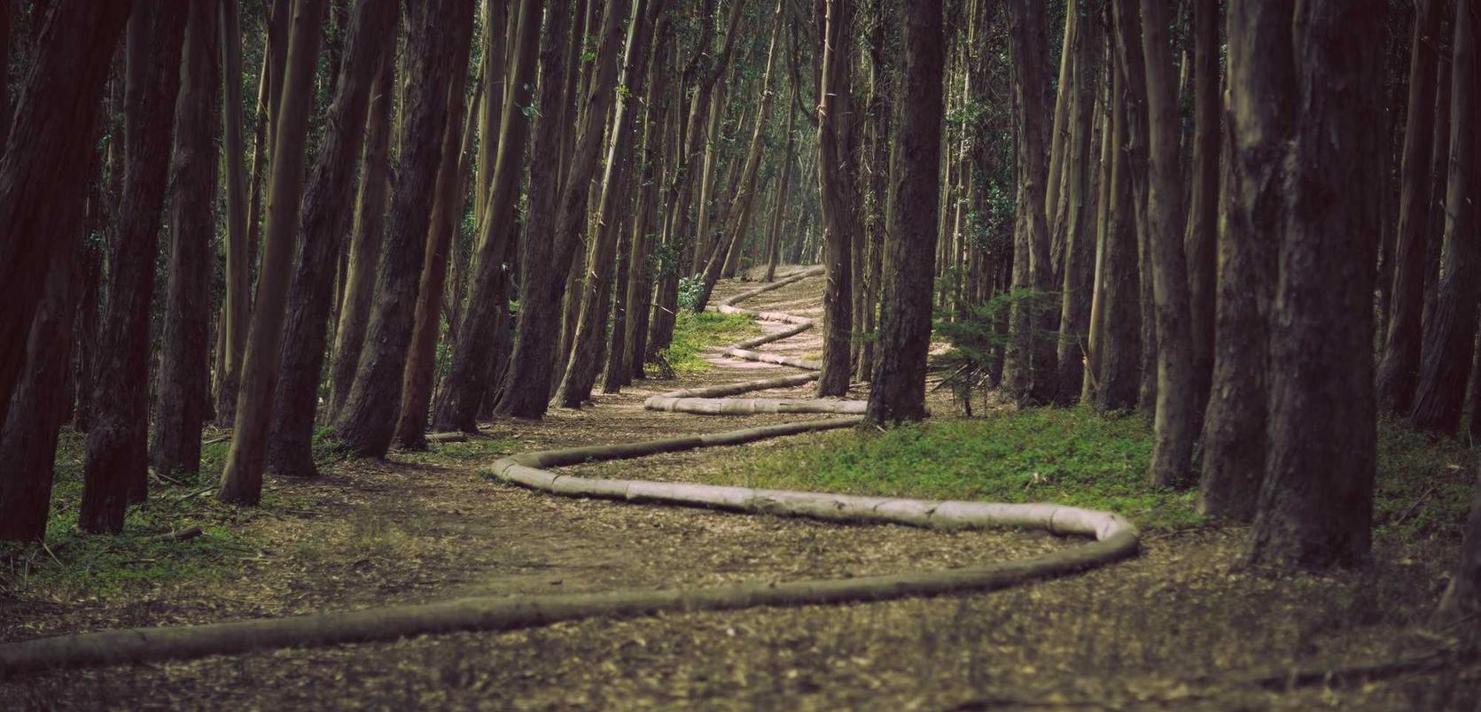 横扫千军：uc动漫app详情下载教程