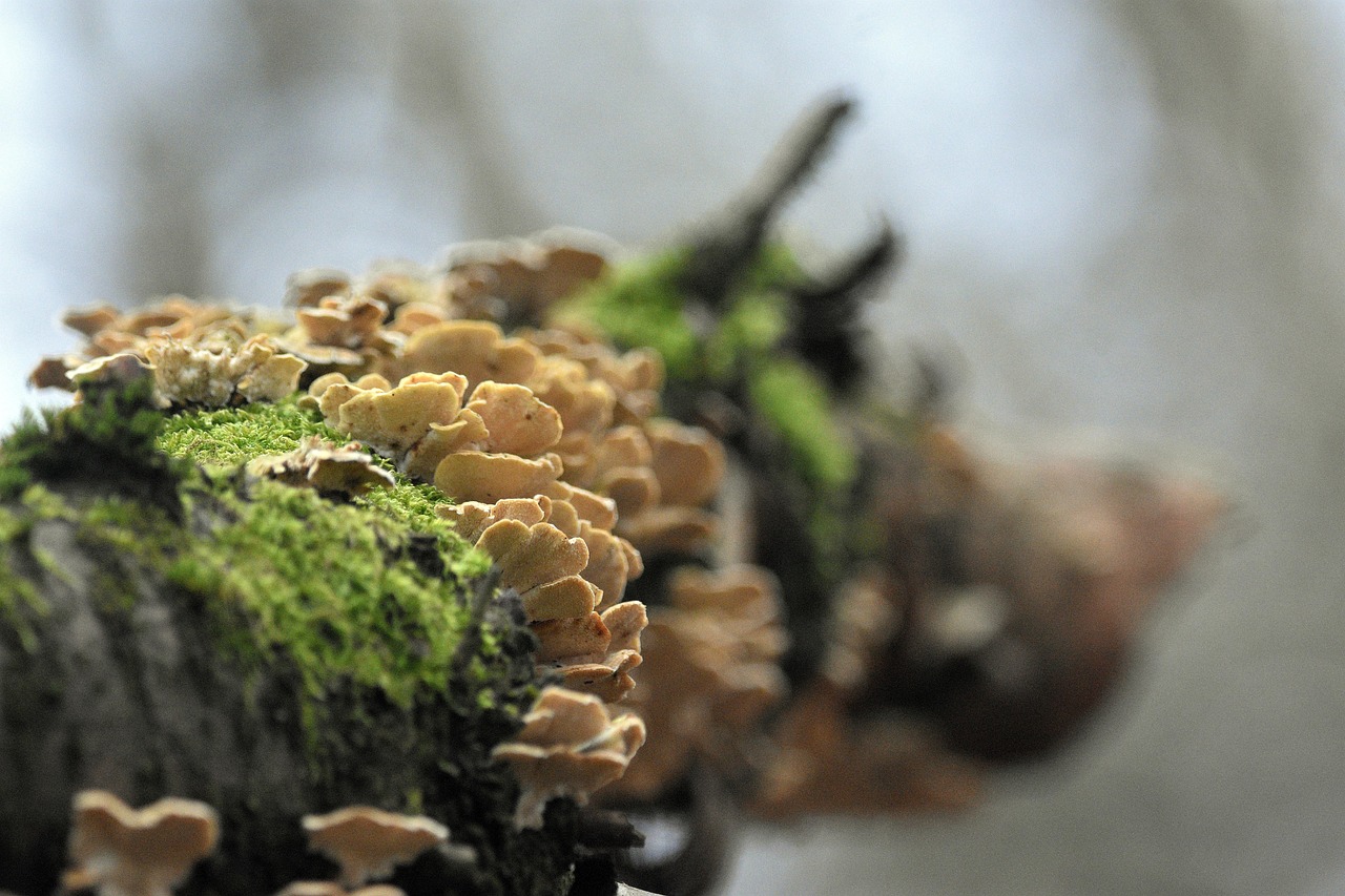 vx账号买卖:环球平台开户