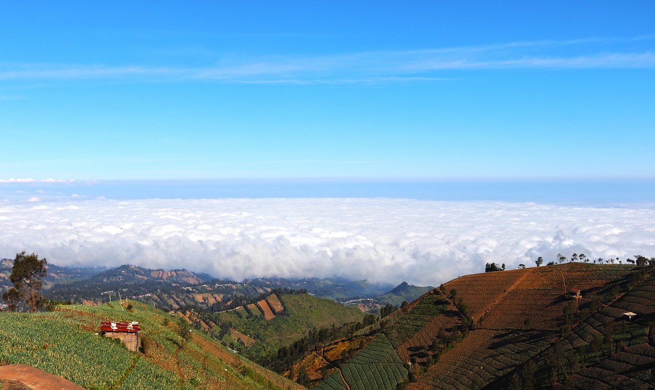 少年封神：注册qq账号之后会怎么样