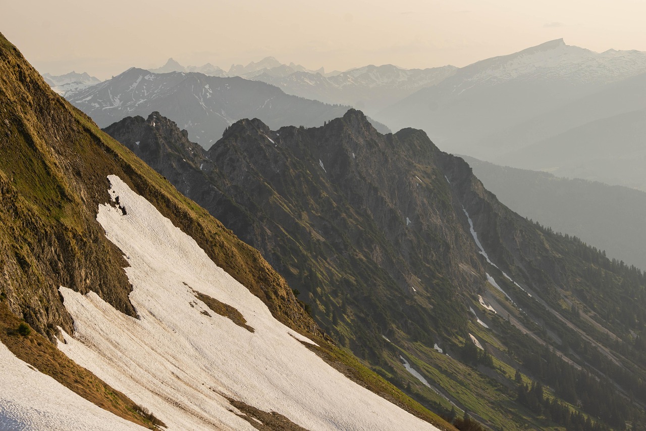 敢达争锋对决：详情下载教程上鱼app详情下载教程