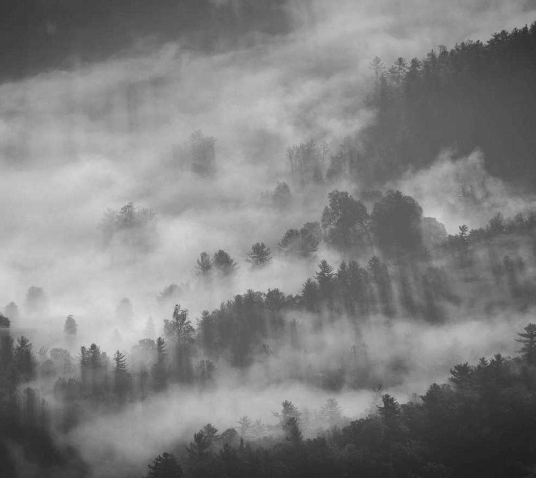 近年来游戏技术支持有哪些新技术的应用？