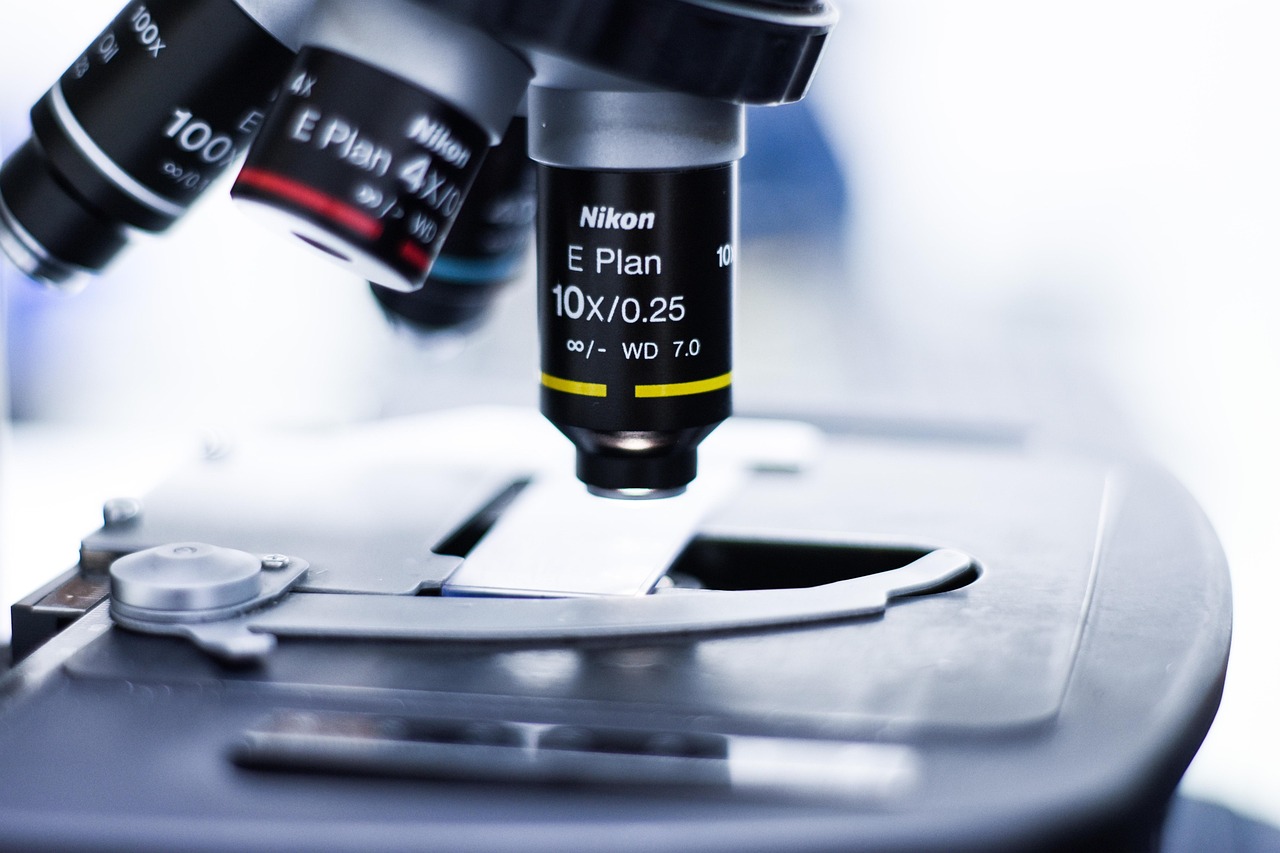 网页在线DDOS压力测试|免费arp代理平台