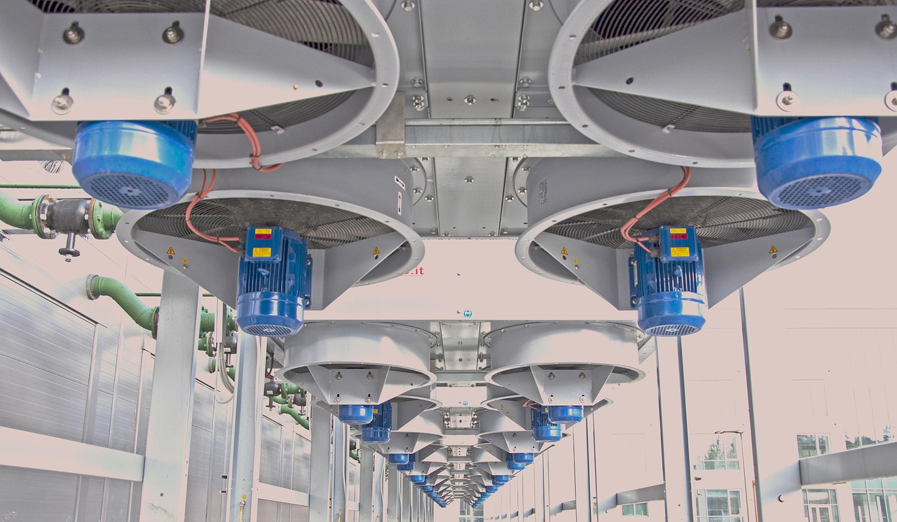 精灵ip实名账号：实名账号是否可以提高网络说服力？