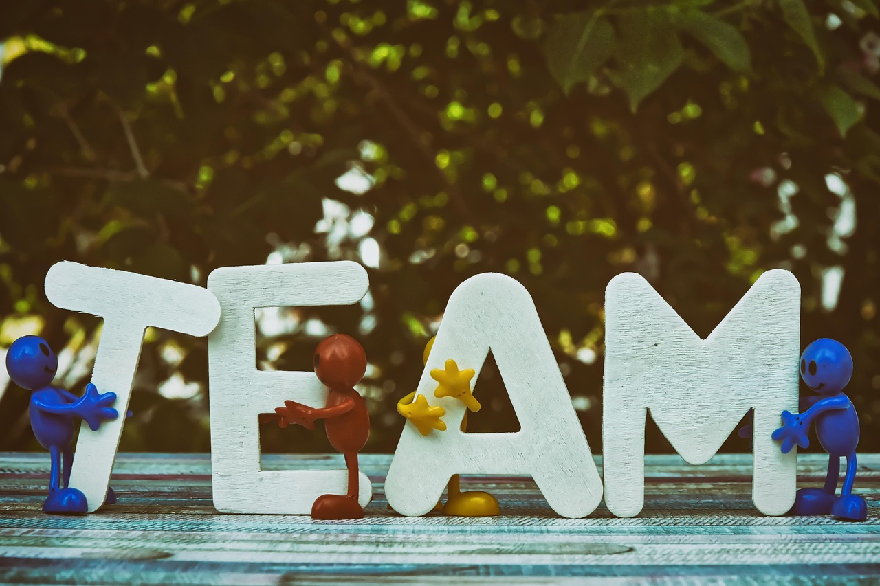 支付宝实名认证：互联广告平台代理